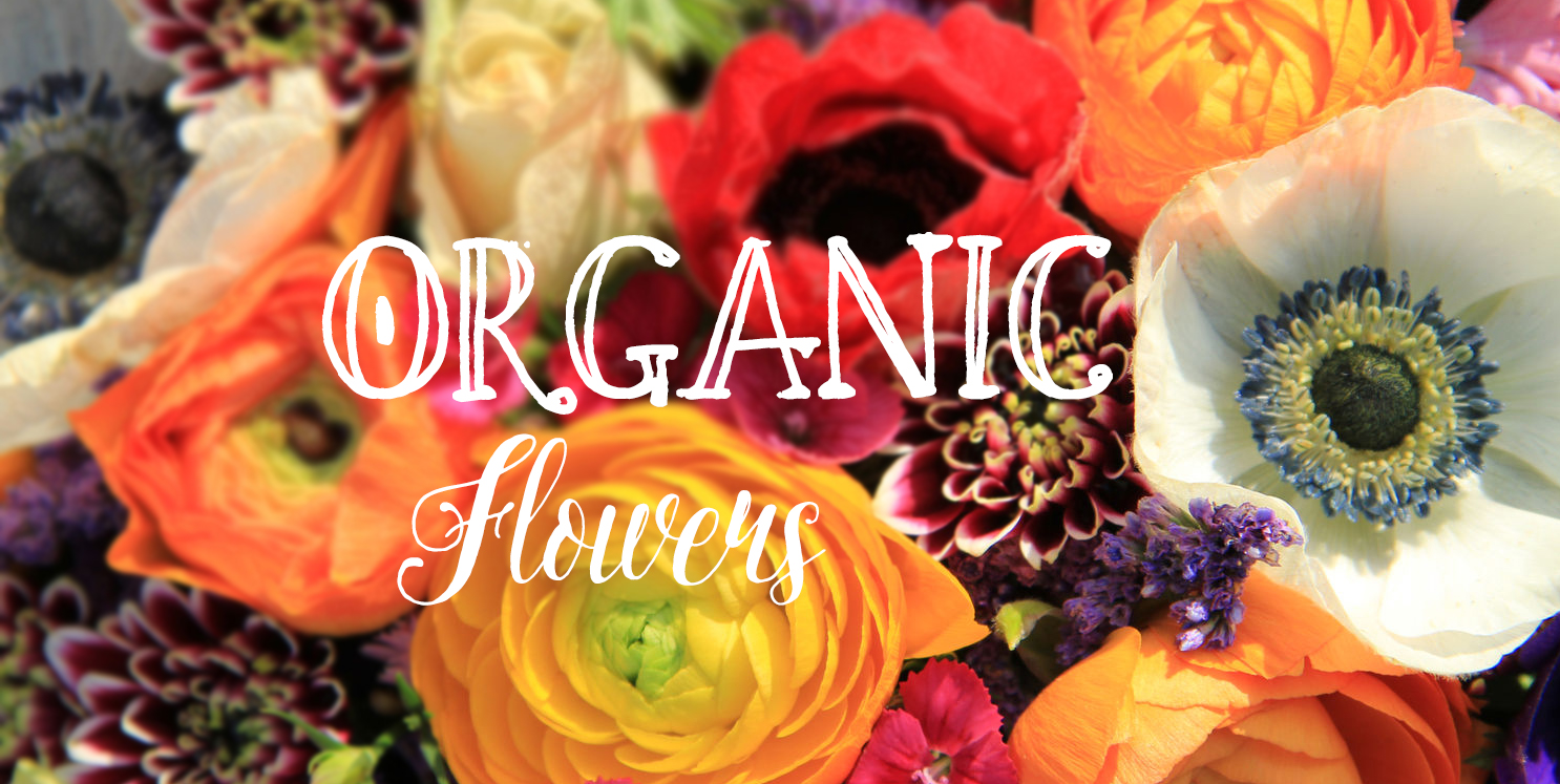 organic flower delivery uk