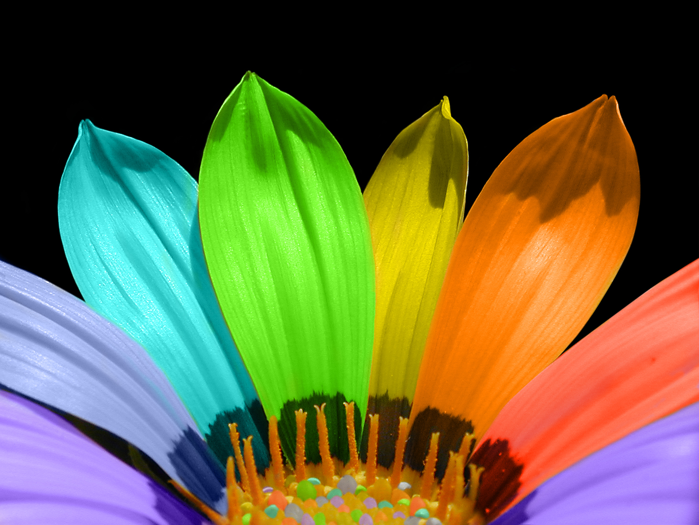 1. Rainbow flower tattoo designs - wide 4