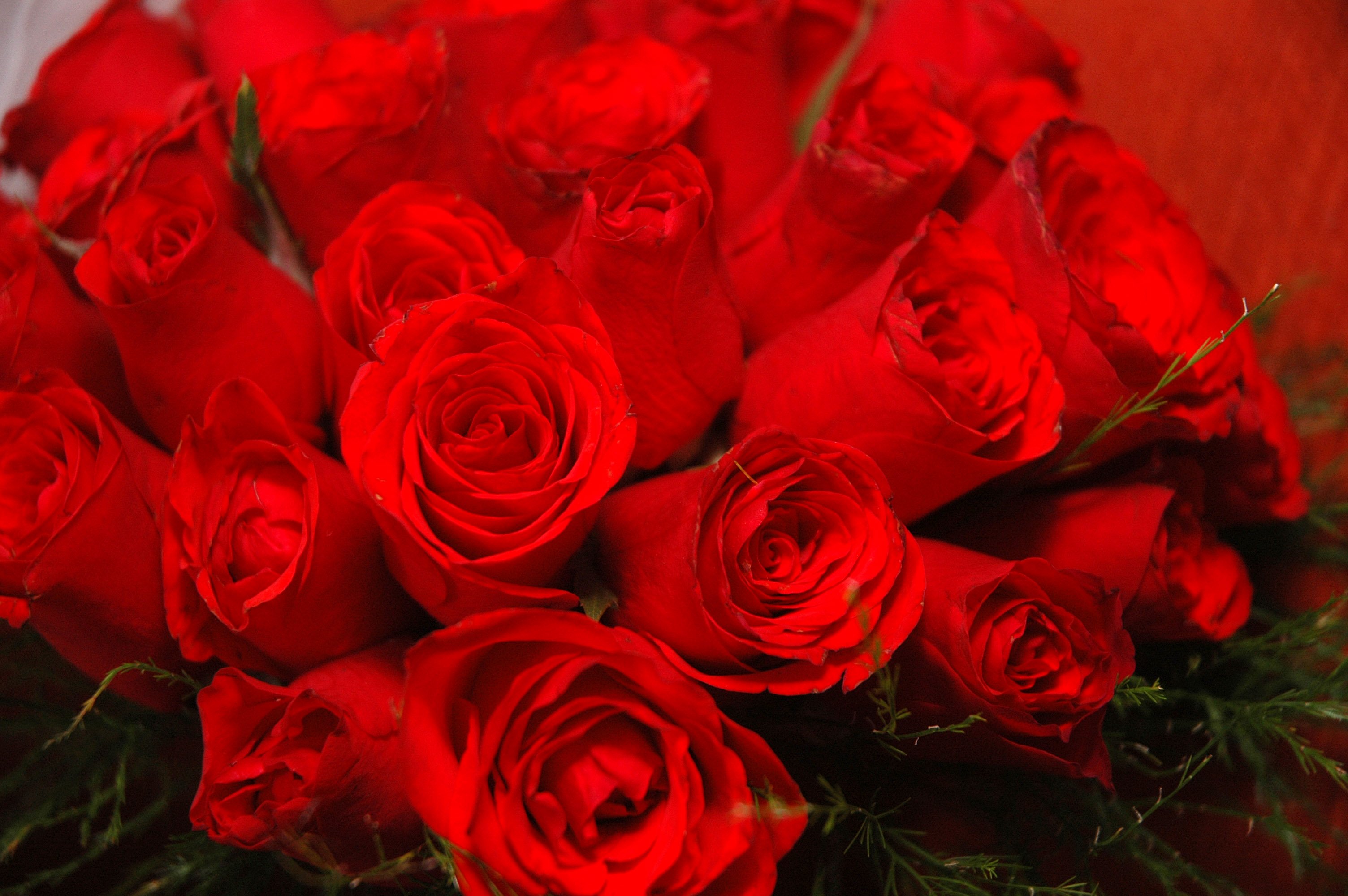 Send the right message with Valentine's flowers - Flower Press