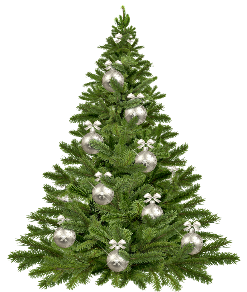 how-to-make-a-mini-christmas-tree-flower-press
